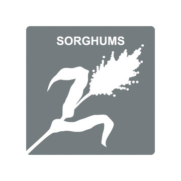 Versa Silage Bagging Icon for Sorghums